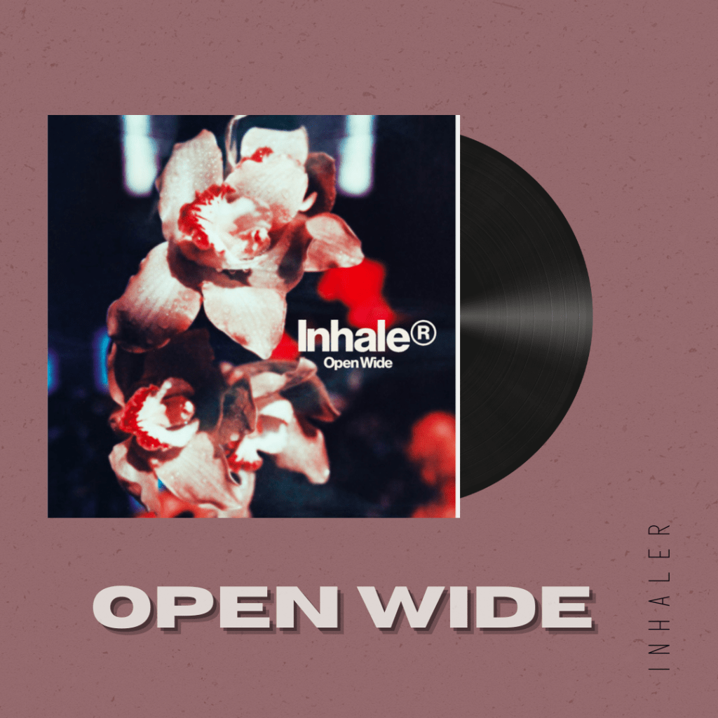 Album review: Inhaler – Open Wide  